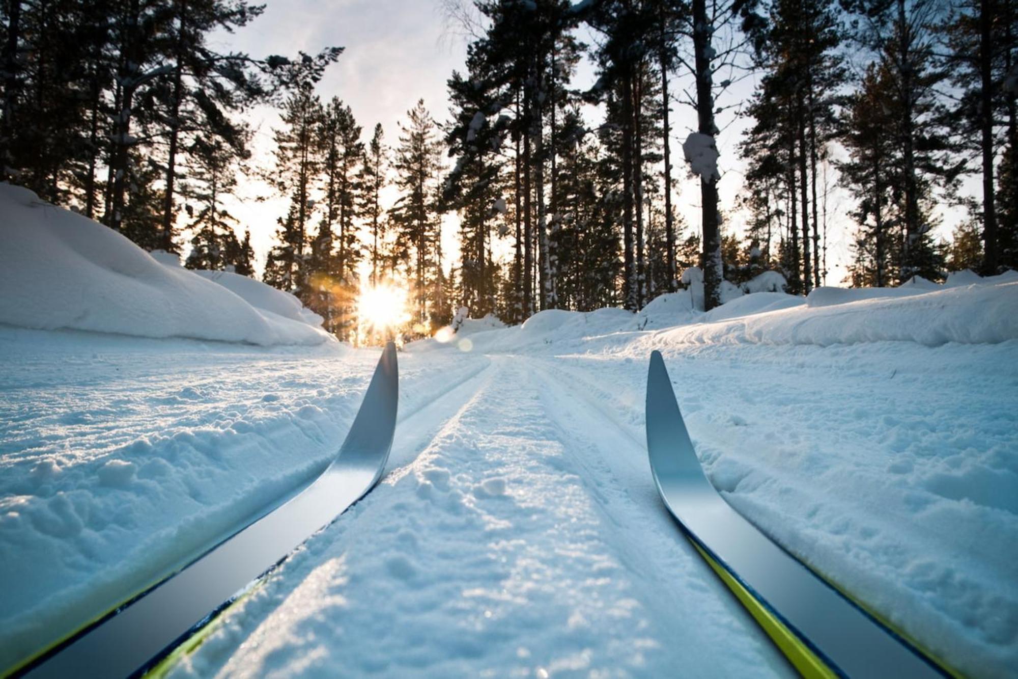 Отель First Camp Bjoerknaes-Боден Экстерьер фото